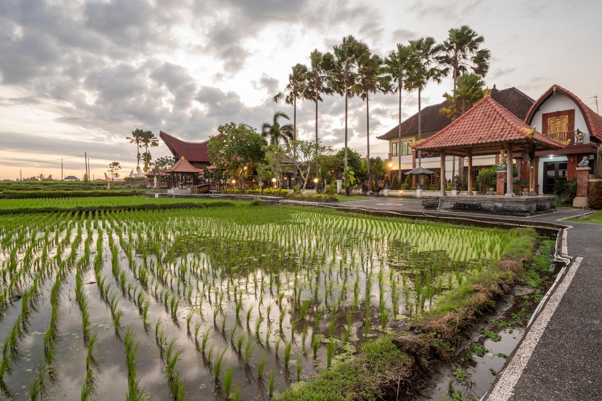 Nirmala Guest House Surf Keramas Ngoại thất bức ảnh
